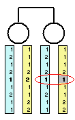 Sibpair with one error