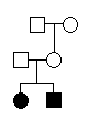 Example Pedigree