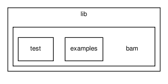 lib/bam/