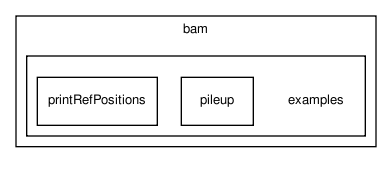 bam/examples/