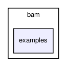 lib/bam/examples/